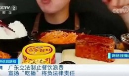 老挝酸菜爆料事件视频播放,真相与争议交织