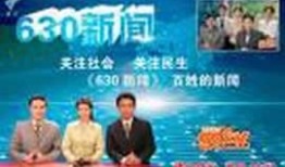 广州630新闻爆料,揭秘某神秘项目背后真相